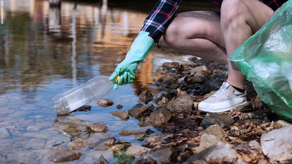 ayudas para proyectos de cooperación medioambiental